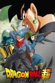 Dragon Ball Z Special 9 – Future Trunks Special